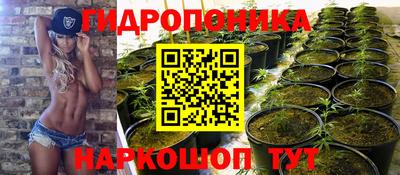 дживик Берёзовский