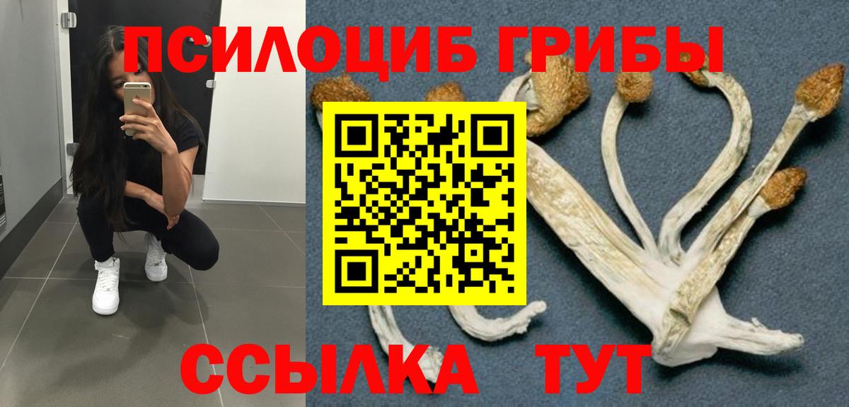 Галлюциногенные грибы мицелий  Галлюциногенные грибы ЛСД  Карталы  Вход с VPN 